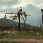 (Пост)пандемическая поездка в Швейцарию